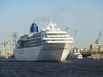 Amadea Amadea